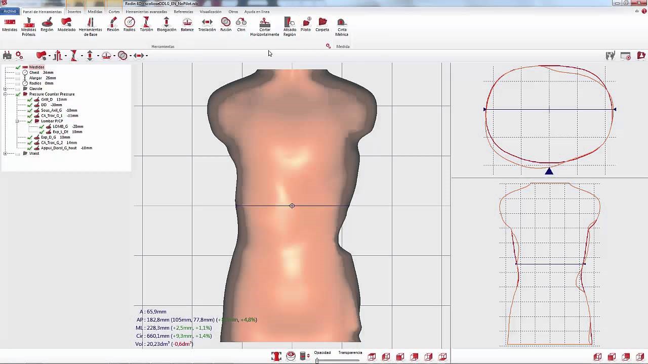 RODIN4D NEO